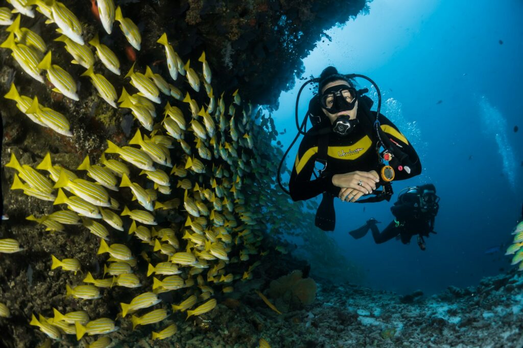 Are Currents Strong on Komodo Phinisi Dive Trips? What Divers Should Know