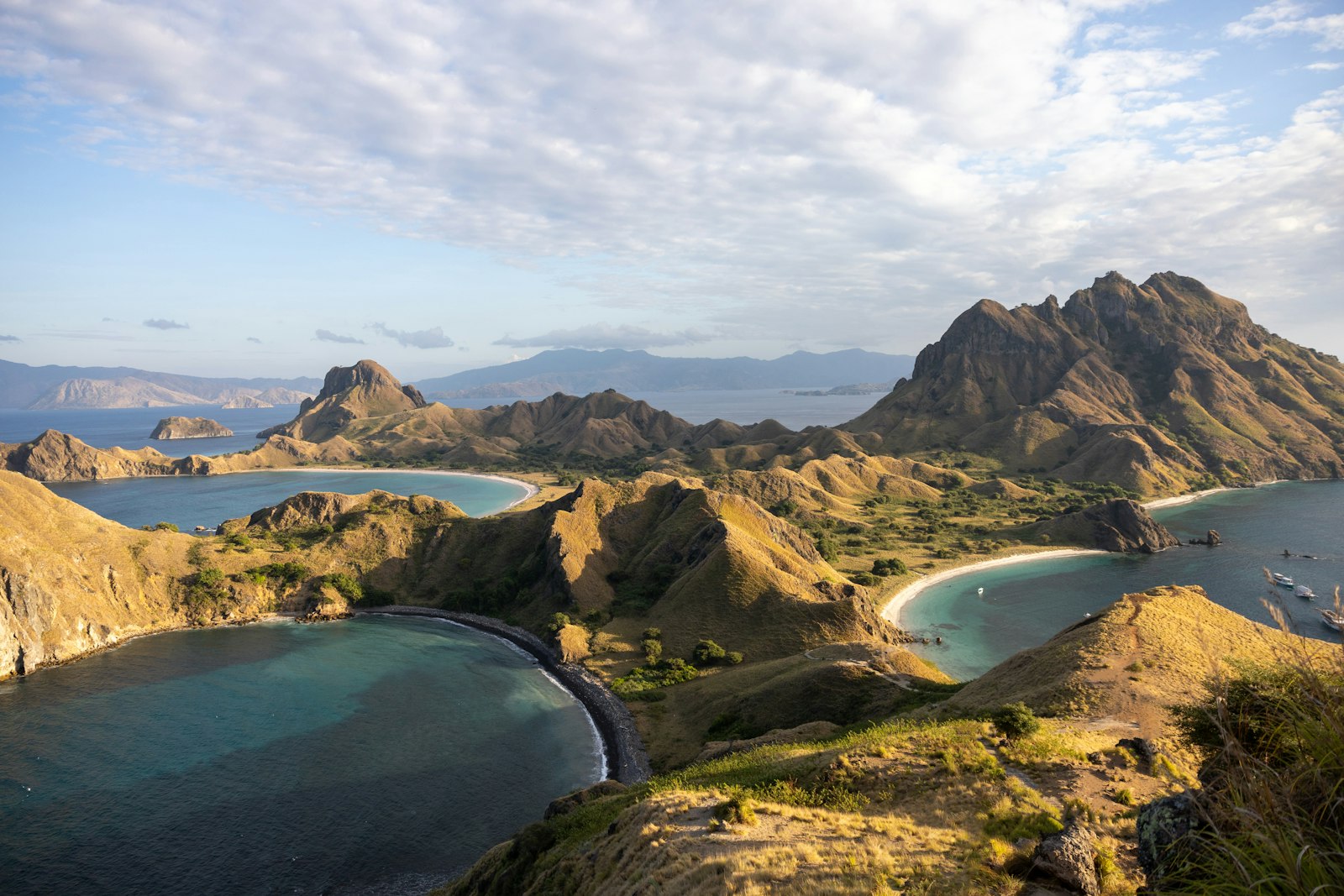 Komodo Highlights