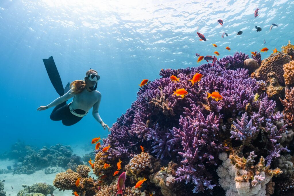 Snorkeling-Focused Phinisi Liveaboards for Non-Divers in Labuan Bajo